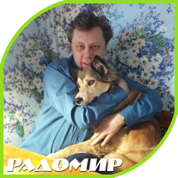 Радомир - разные видеоролики